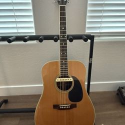 Takamine F-360S Lawsuit Model
