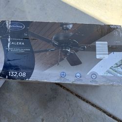 Selingfan 