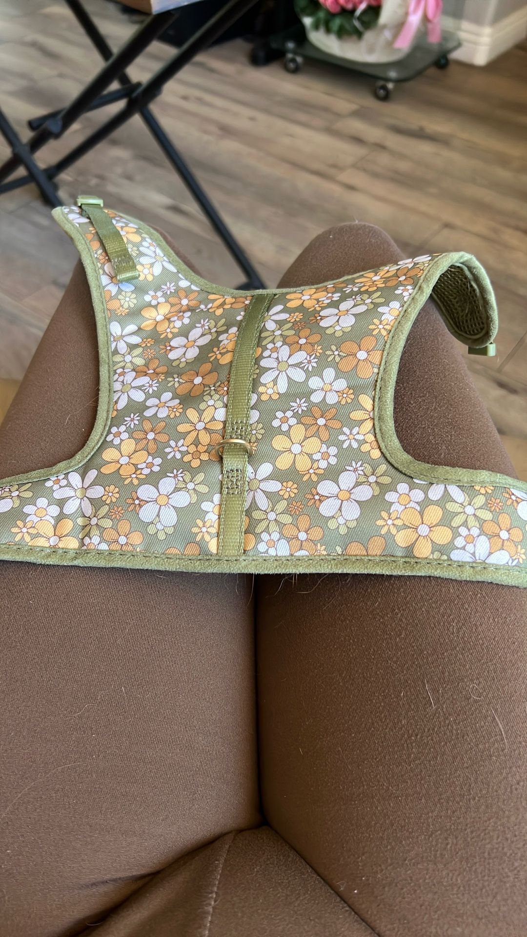 Dog Harness