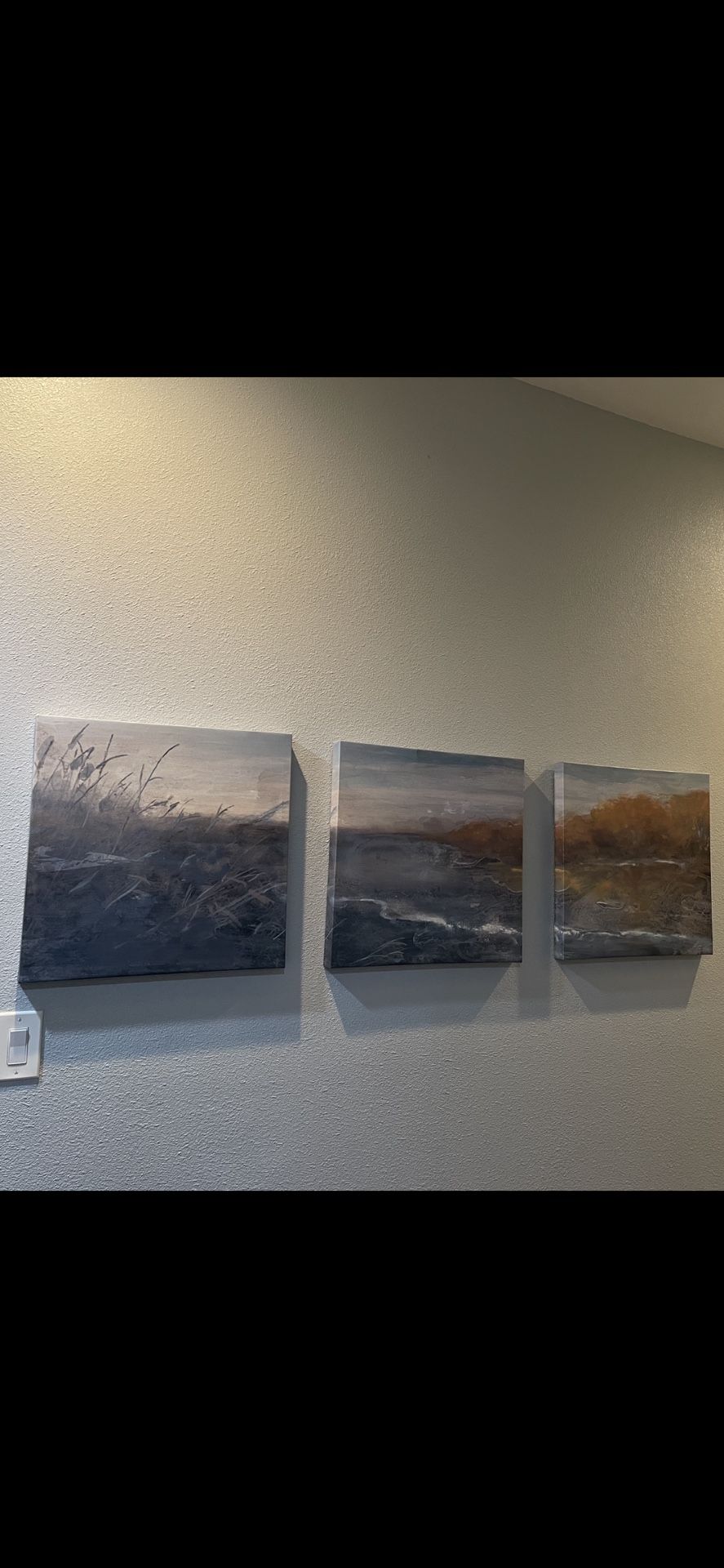 Wall Art / 3 Canvases 