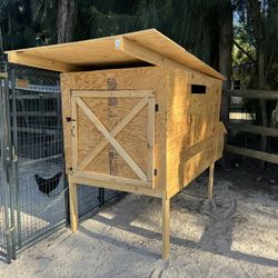 Chicken Coops 