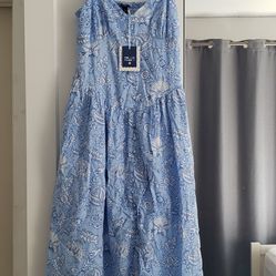 Roller Rabbit Women's Dress, Size M, Blue Amanda Floral