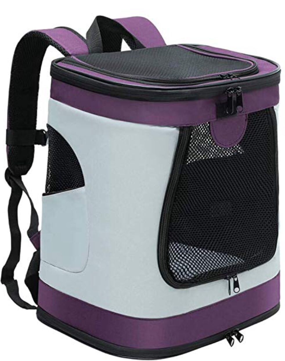 Purple backpack pet carrier