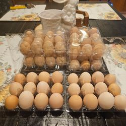 Huevos organicos