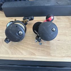 Phenix Rod / Daiwa Saltist