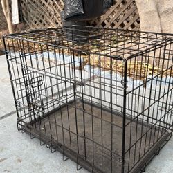 Dog kennel 
