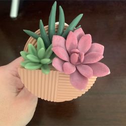 BATH AND BODY WORKS WALLFLOWER SUCCULENT PLUG IN  