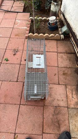 Metal cage