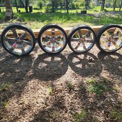 Rims 24" Rines 24"