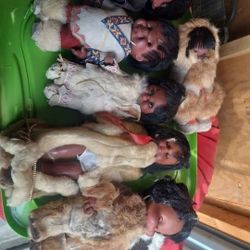 Vintage Eskimos Dolls Lott