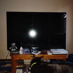 Insignia TV