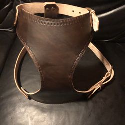 Dogs Harness