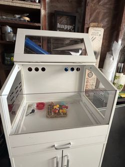 Hamster home and accessories