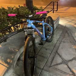 C100 29 Inch Collectable 