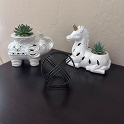 Home Decor 
