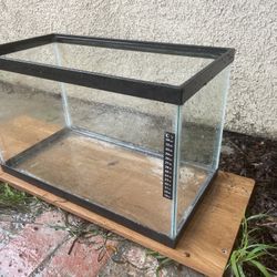10 Gallon Tank Fishtank Aquarium Terrarium