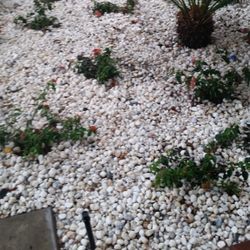 Good Garden 👍