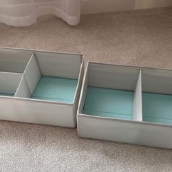 Organizer Storage bins 