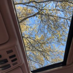 Selling Fast!! Need Gone 