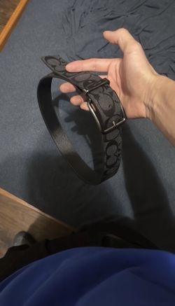 Coach Belt