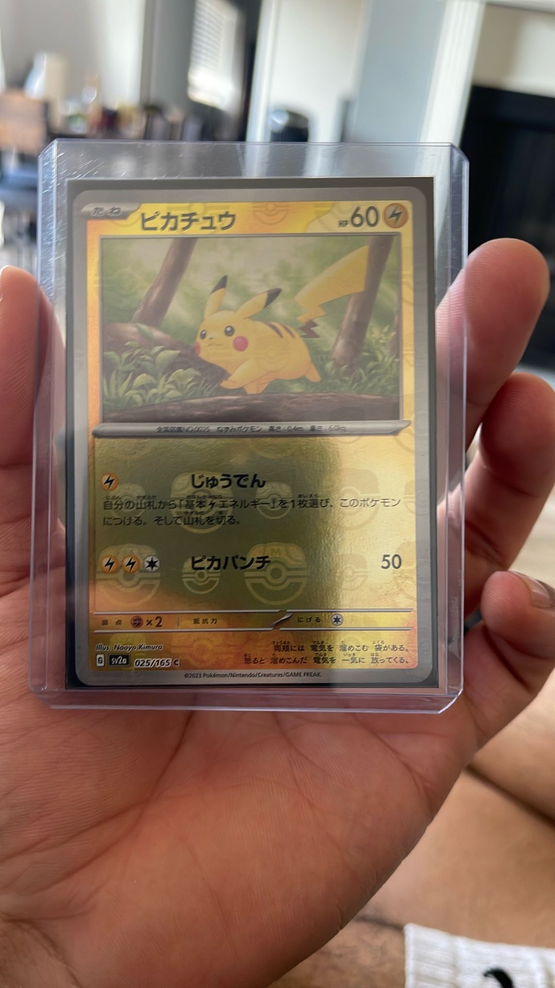 Japanese Master Ball Pikachu