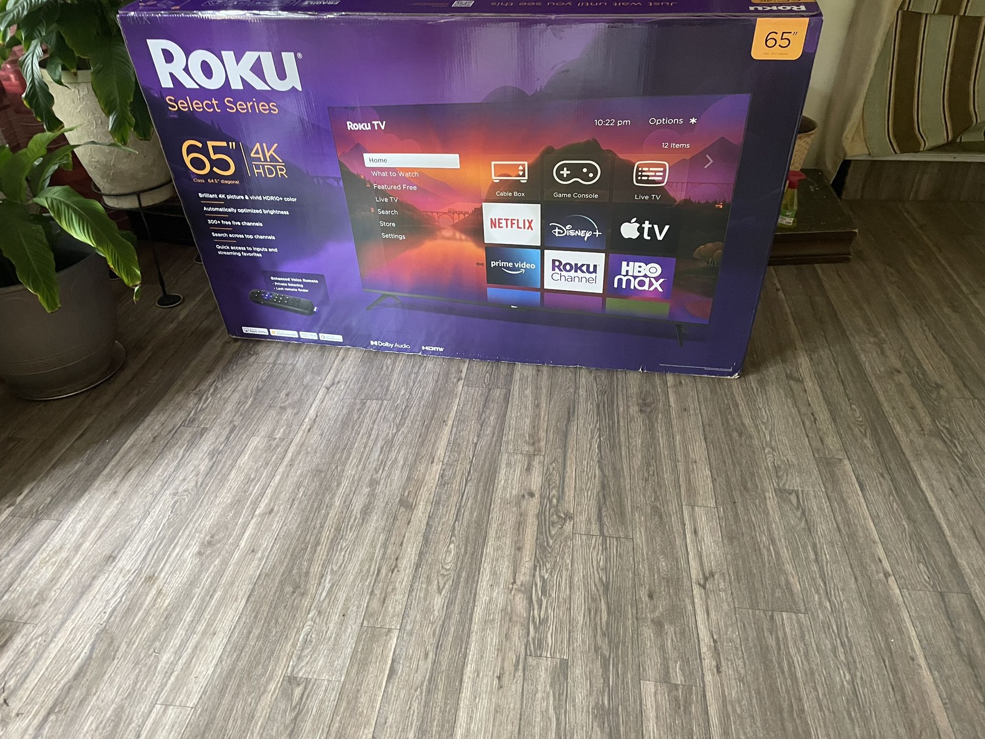 65 Inch TV