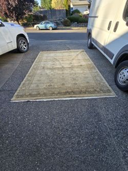 Rug God Condition No Pest