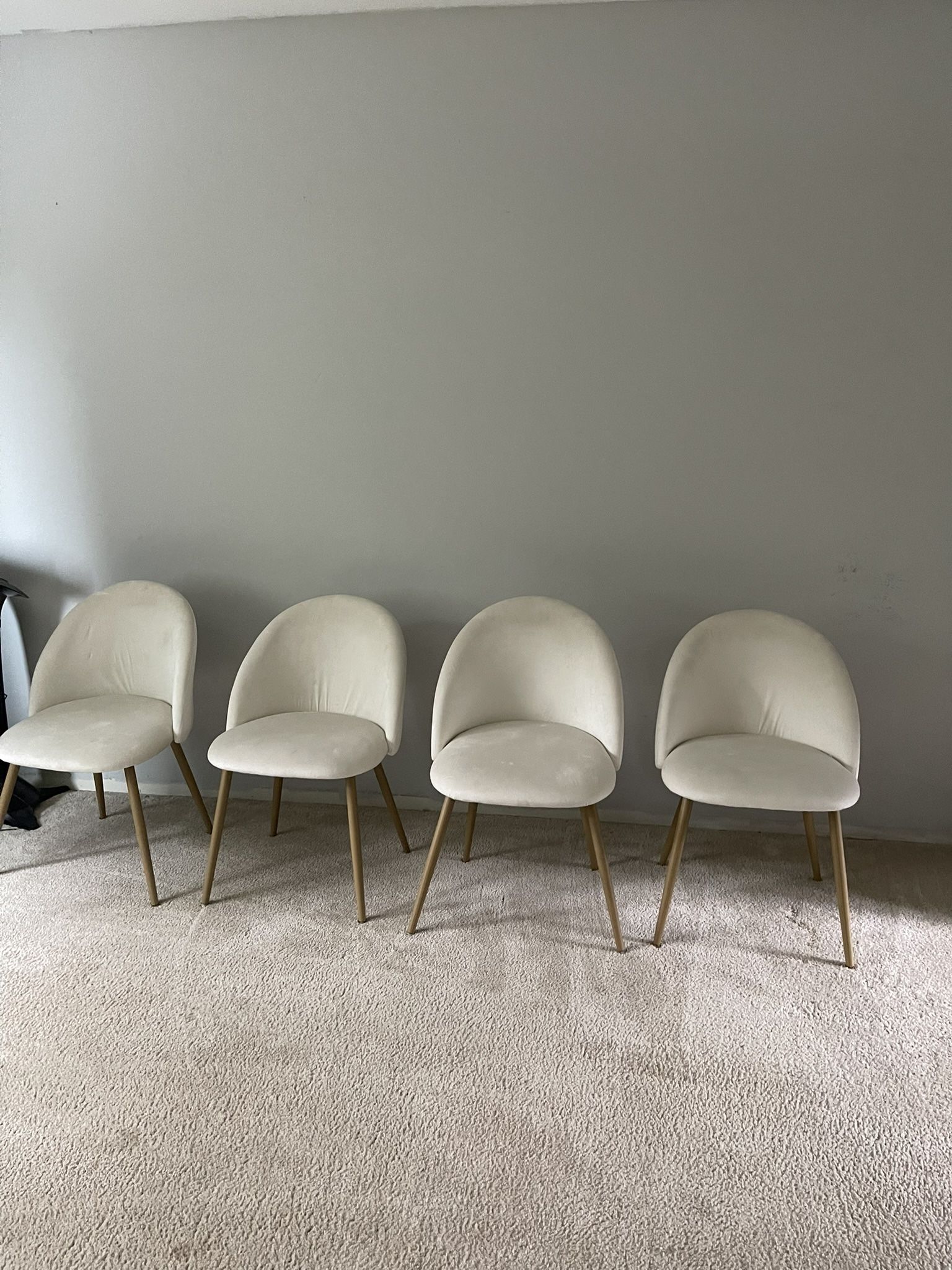 Dining Chairs