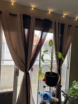 Living room curtains