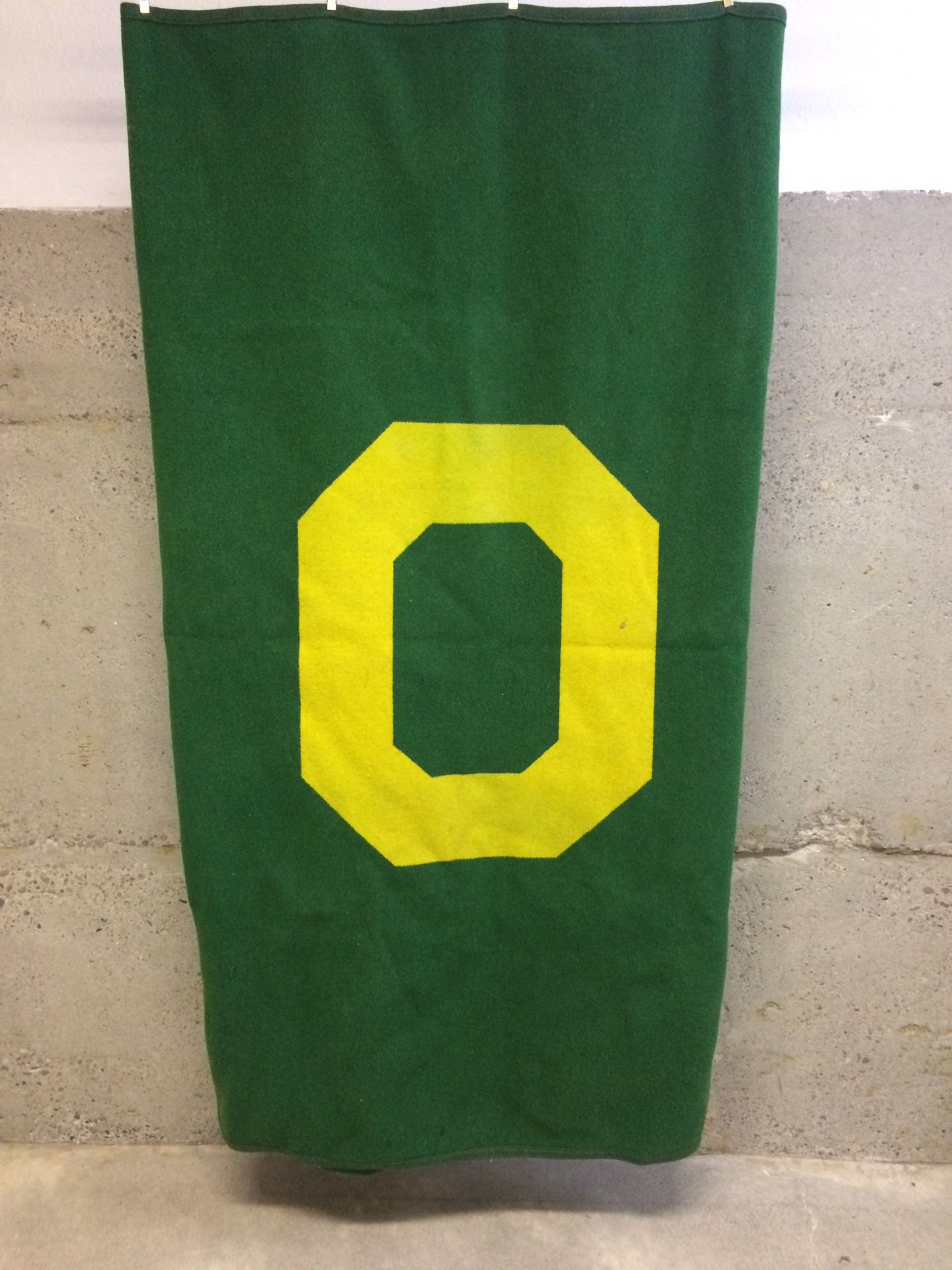 Vintage Oregon ducks Pendleton blanket wool