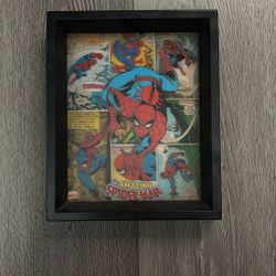 Spider Man Wall Decor