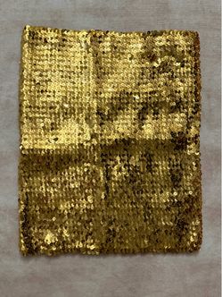 Gold sequin tube top