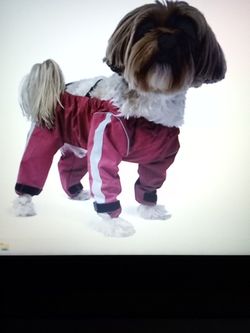 FouFou Dog Bodyguard Protective All Weather Dog Pants. for Sale in Orlando FL OfferUp