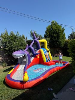 Costco shark slide