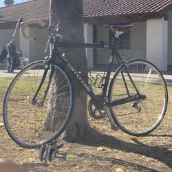 55 Cannondale Road Bike 