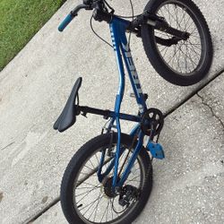 Trek Bike