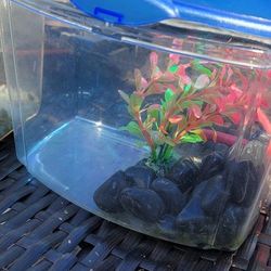 2 Fish Tanks With Rocks And Plants