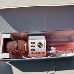 Karaoke Microphone