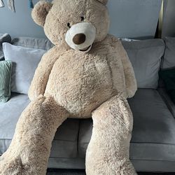 Huge 5ft Teddy Bear 