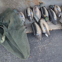 Duck Decoys