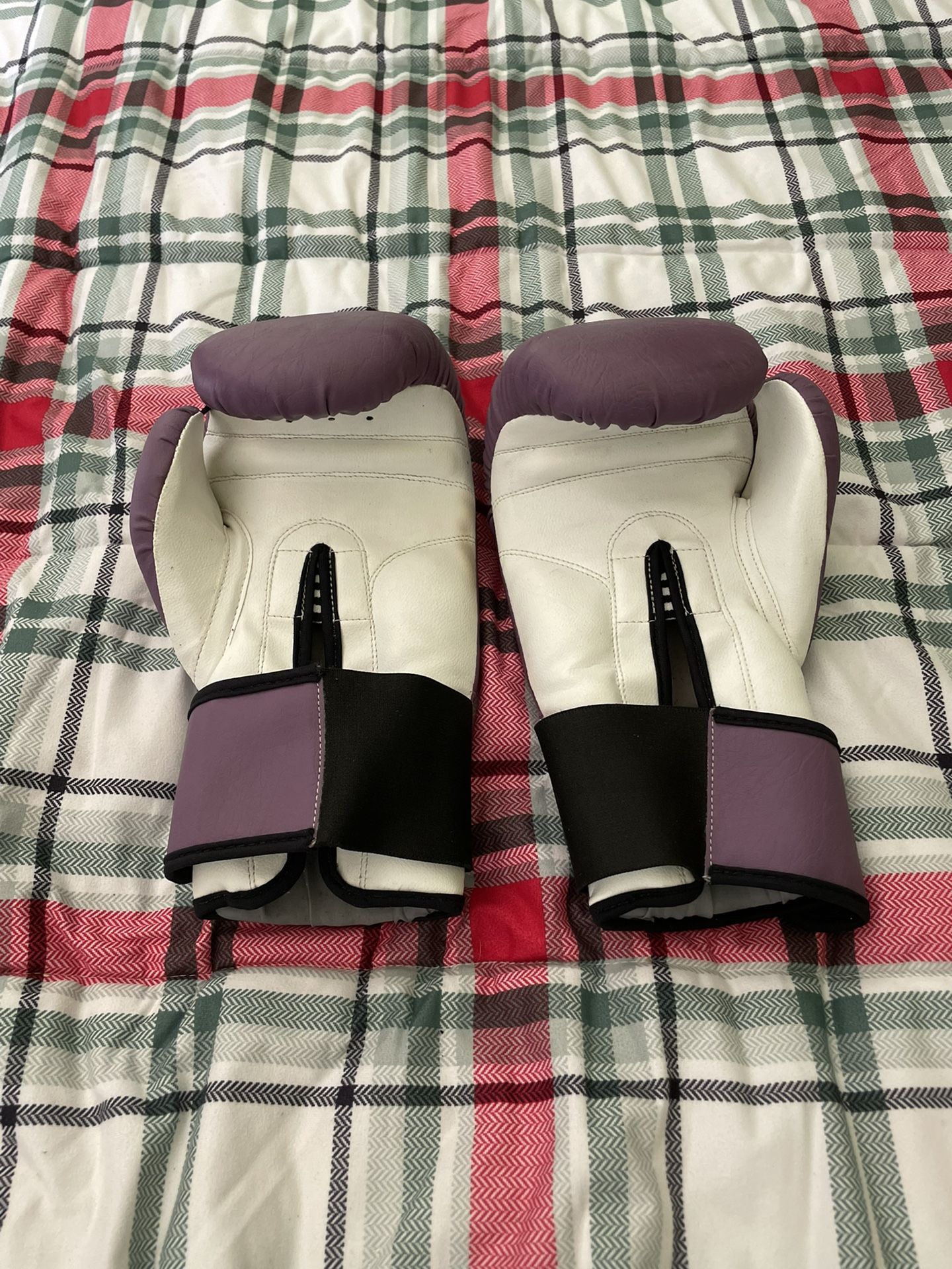 Woldorf Boxing Training Gloves W35c 12 oz