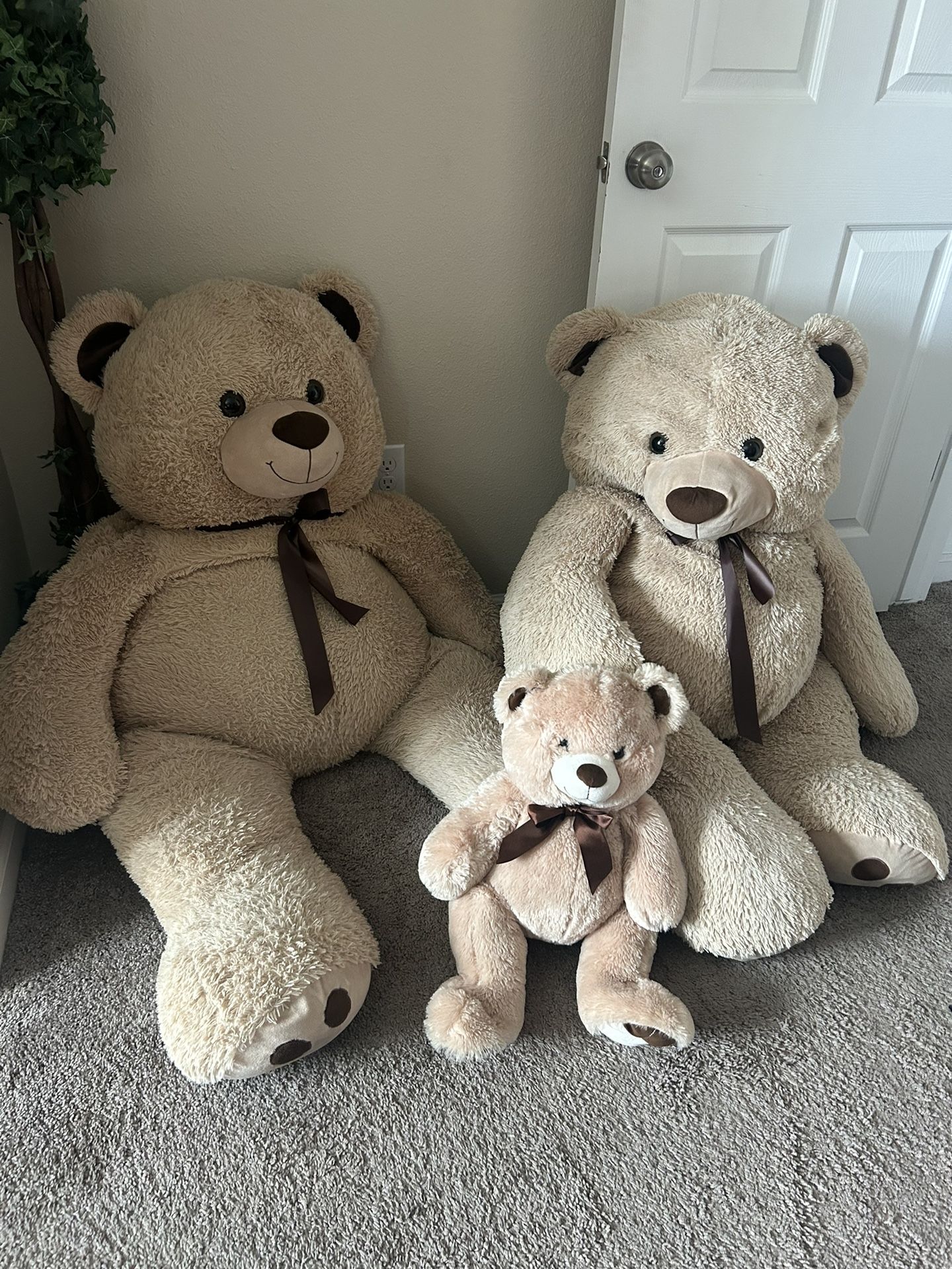 3 Bears