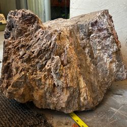 Petrified wood for sale.