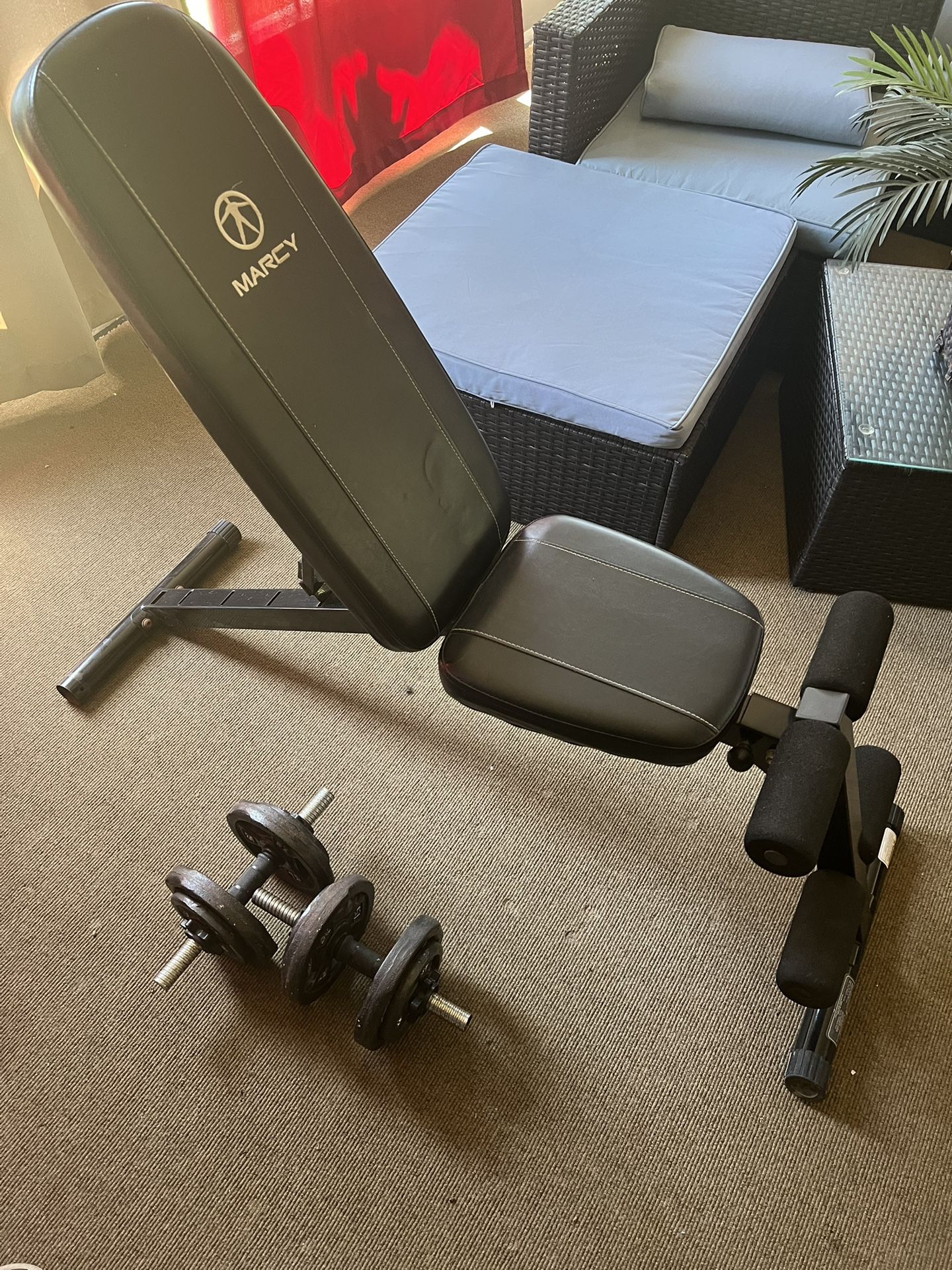 Bench And 20 Lbs Dumbbells