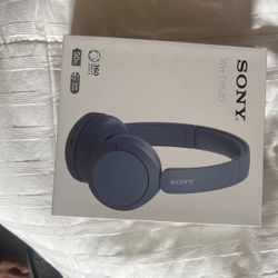 Sony Headphones 