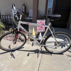 Men’s mountain bike