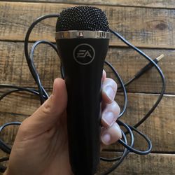 Rockband Mic