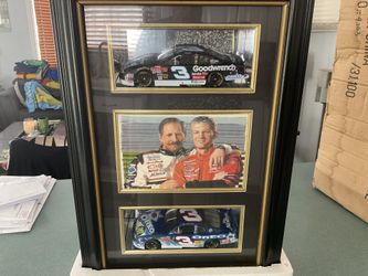 Dale Sr And Dale Jr