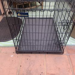 Dog Kennel