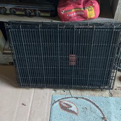 Dog Channel